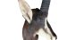 Sable Antilope Trophäe
