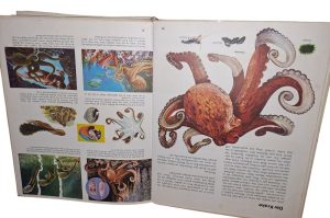 Kinder Kosmos Bücher
