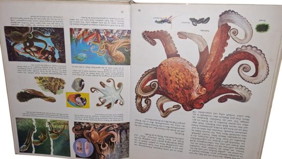 Kinder Kosmos Bücher