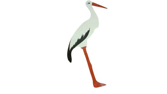 Storch
