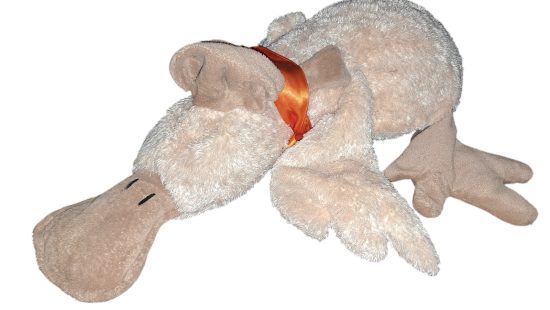 Stofftier Platypus