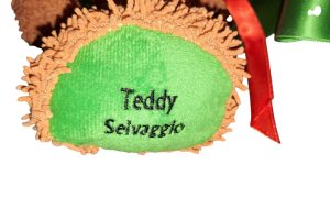 Teddy Selvaggio