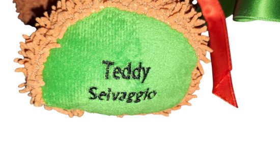 Teddy Selvaggio