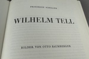 Buch Schauspiel 