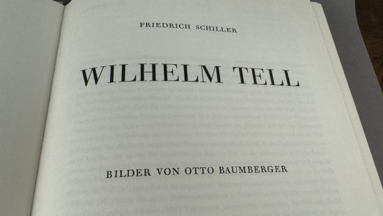 Buch Schauspiel 