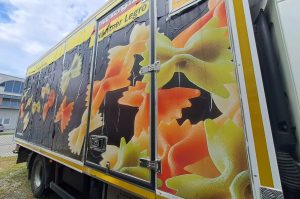 LKW LF280 FA FIN: XLRAEL2700L442215
