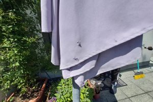 Sonnenschirm