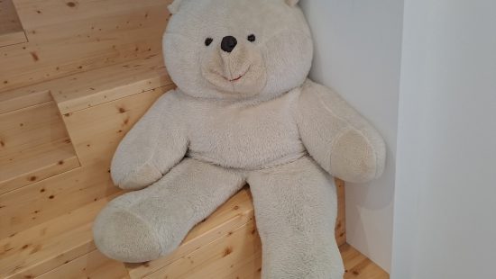 Riesen Teddybär DG