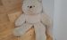 Riesen Teddybär DG