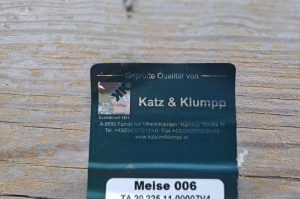 Doppelschaukel A