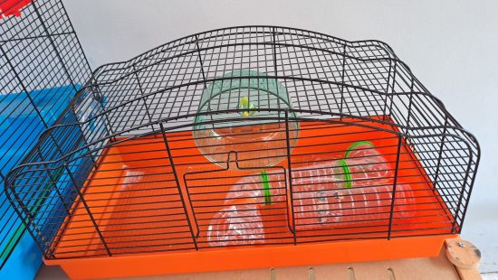 Hamsterkäfig A