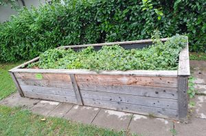 Hochbeet A