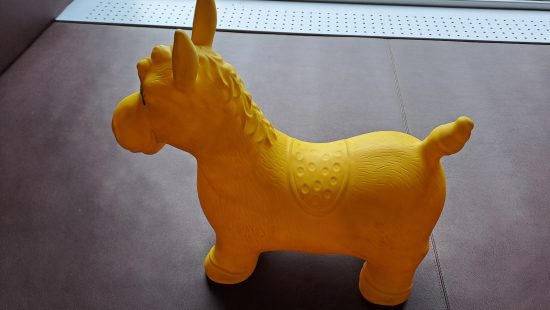Reitpferd KT
