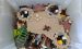 Lego Kiste KT