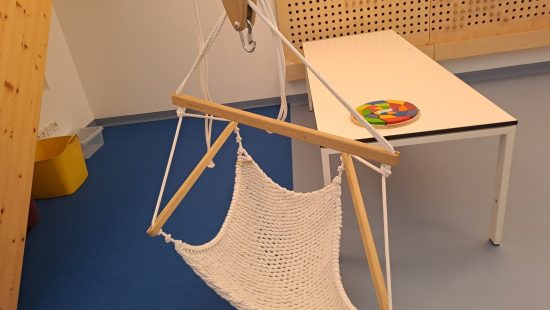 Traumschwinger DG 