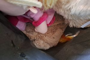 Sack mit Plüschtieren KT