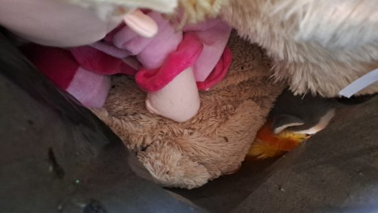 Sack mit Plüschtieren KT