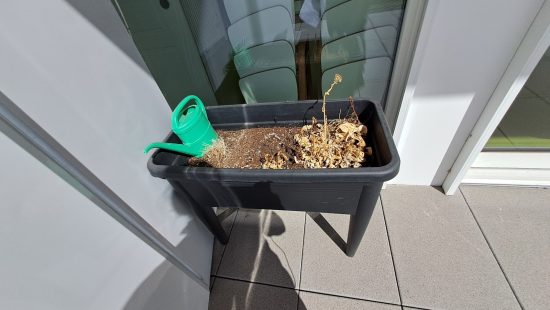Blumenbeet EG KÜ