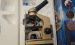 Lab Microscope DG