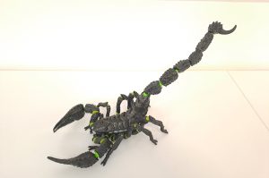 Skorpion DG