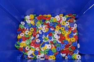 Steckblumen DGG