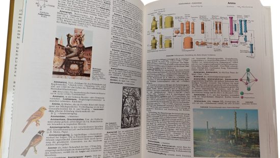 Der grosse Brockhaus 