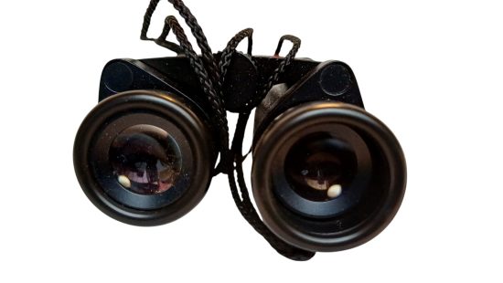Fernglas K8