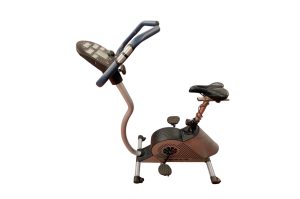 Ergo Bike