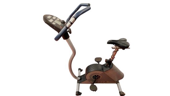 Ergo Bike