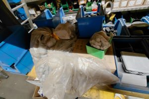 Kompletter Regalinhalt