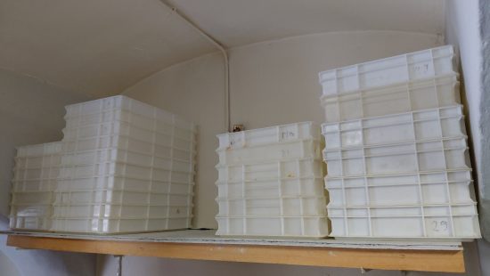 Pizzateigschütten L