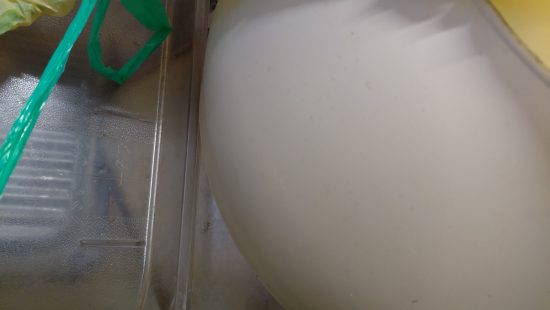 Kunststoffgeschirr L