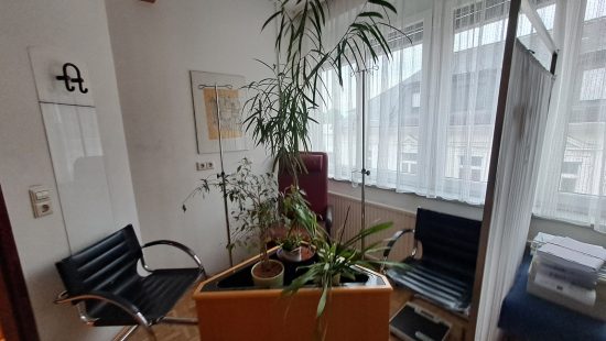 Pflanztrog