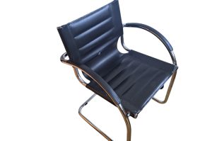 Freischwinsessel