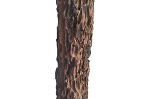 Phallus-Statue