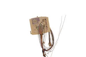 EEG Gerät