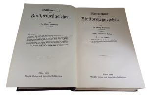 Historische juristische Literatur