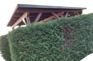 Carport/Überdachung