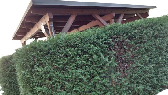 Carport/Überdachung