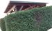 Carport/Überdachung