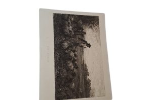 Kunstdruck WZ EG