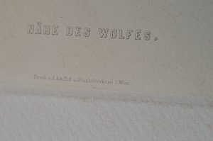 Kunstdruck WZ EG