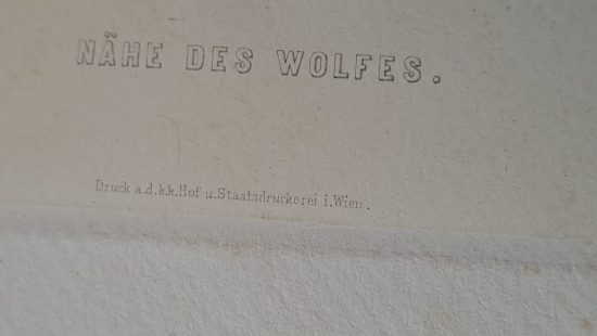 Kunstdruck WZ EG