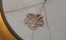 Metallschale WZ EG