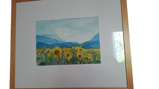 Aquarell SZ OG