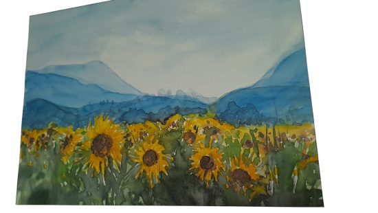 Aquarell SZ OG