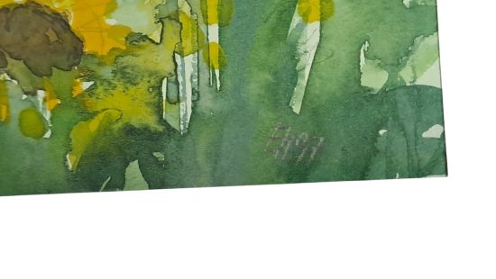Aquarell SZ OG