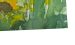 Aquarell SZ OG