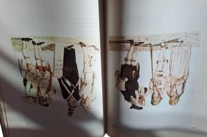 Buch BÜ OG
