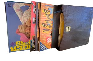 Langspielplatten GZ OG